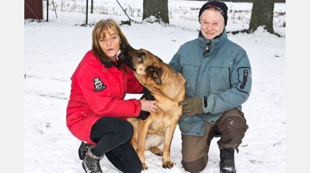 Motala hundpensionats startade sommaren 2014 och drivs av Berit och Thomas Lange. Hunden Shiva är en av sex egna hundar. 
Bild: Per Erik Dufwenberg
